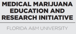 Black physicians discuss benefits of medical marijuana